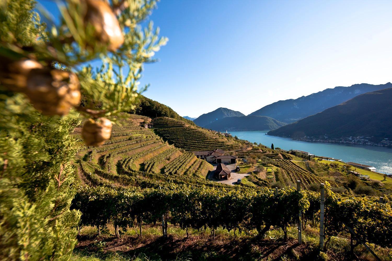 ホテル Relais Castello Di モルコテ エクステリア 写真