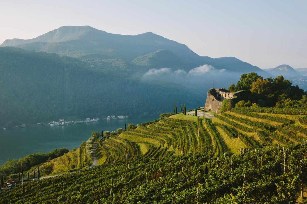 ホテル Relais Castello Di モルコテ エクステリア 写真